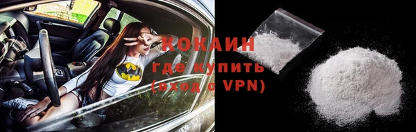трава Магас