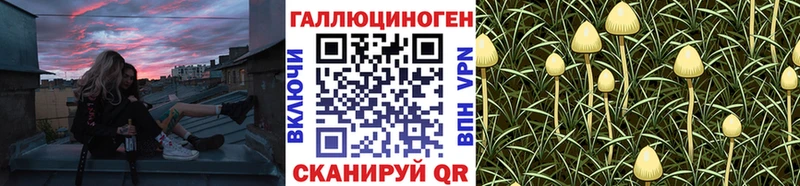 наркошоп  Долинск  Галлюциногенные грибы мицелий 